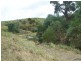 970 Levels Road, Golspie NSW 2580