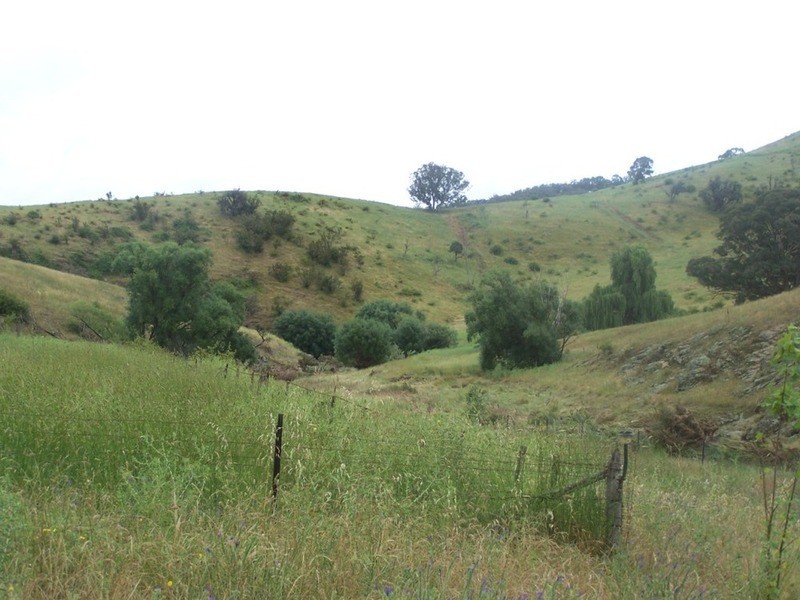 970 Levels Road, Golspie NSW 2580