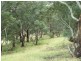 970 Levels Road, Golspie NSW 2580