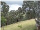 970 Levels Road, Golspie NSW 2580