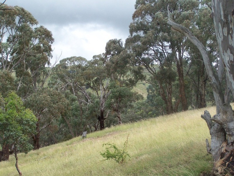 970 Levels Road, Golspie NSW 2580