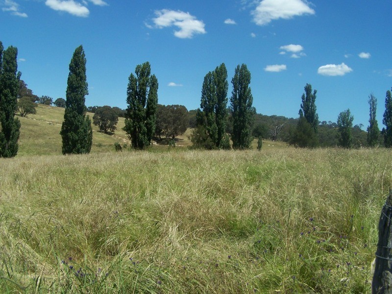 “Kangalua” Peelwood Road, Peelwood NSW 2583