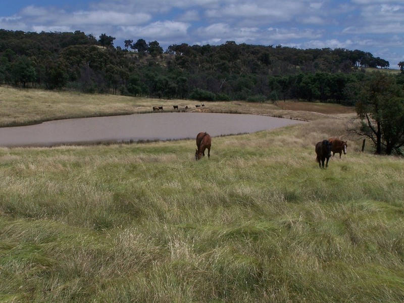 “KARINYA” 134  Karinya Road, Binda NSW 2583