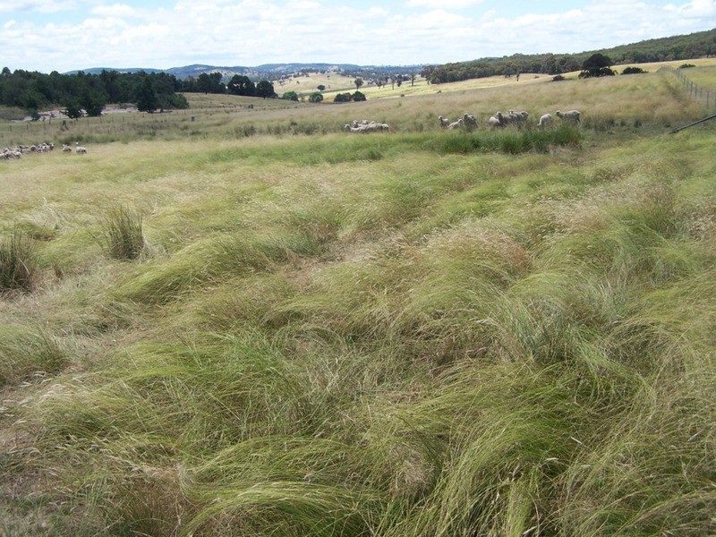 “KARINYA” 134  Karinya Road, Binda NSW 2583