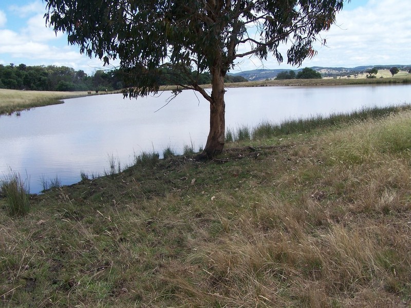 “KARINYA” 134  Karinya Road, Binda NSW 2583