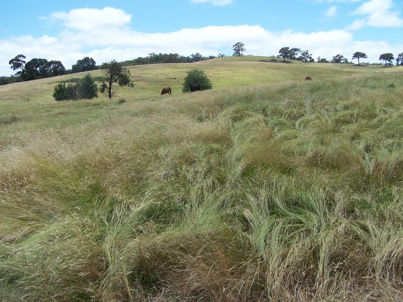 “KARINYA” 134  Karinya Road, Binda NSW 2583