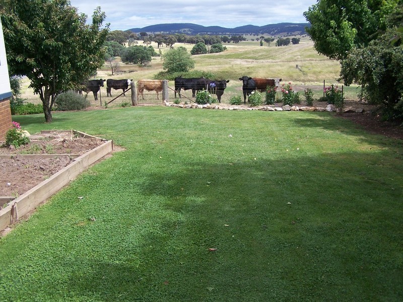 “KARINYA” 134  Karinya Road, Binda NSW 2583