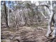 381 Winfarthing Road, Marulan NSW 2579