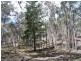 381 Winfarthing Road, Marulan NSW 2579