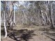381 Winfarthing Road, Marulan NSW 2579