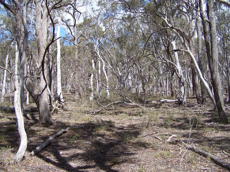 381 Winfarthing Road, Marulan NSW 2579