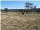 1269 Taralga Road, Goulburn NSW 2580