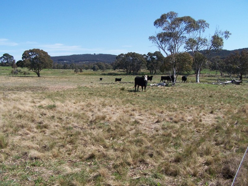 1269 Taralga Road, Goulburn NSW 2580