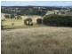“Karinya Downs” 214 Karinya Road, Binda NSW 2583
