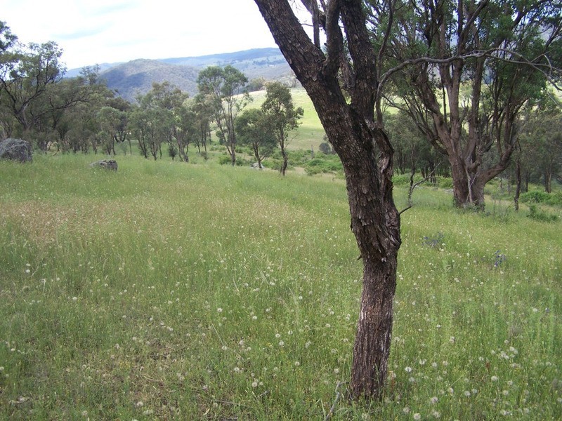 Lot 1 Peach Gardens Road, Bigga NSW 2583