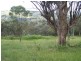 Lot 1 Peach Gardens Road, Bigga NSW 2583