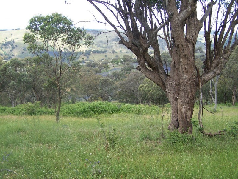 Lot 1 Peach Gardens Road, Bigga NSW 2583