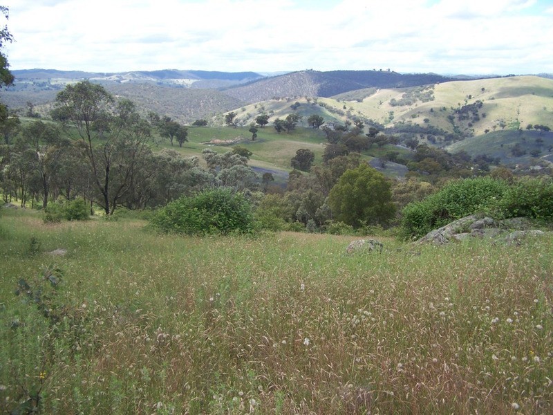 Lot 1 Peach Gardens Road, Bigga NSW 2583