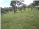 Lot 1 Peach Gardens Road, Bigga NSW 2583