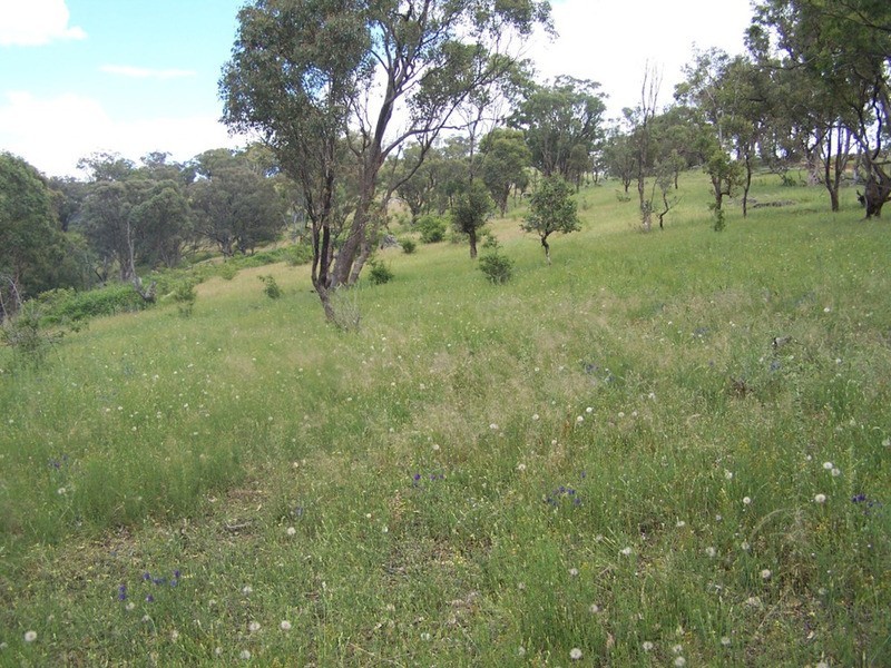 Lot 1 Peach Gardens Road, Bigga NSW 2583