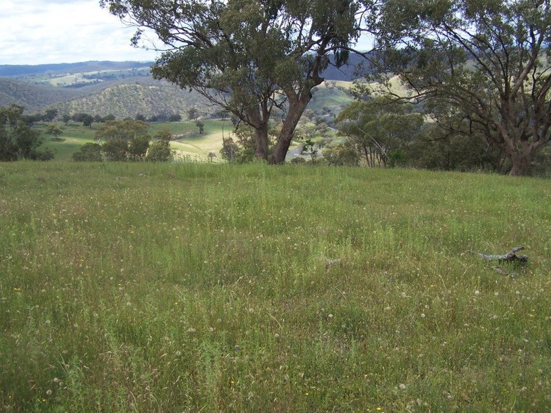 Lot 1 Peach Gardens Road, Bigga NSW 2583