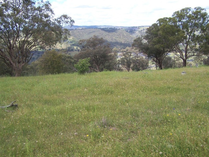 Lot 1 Peach Gardens Road, Bigga NSW 2583