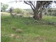 Lot 1 Peach Gardens Road, Bigga NSW 2583