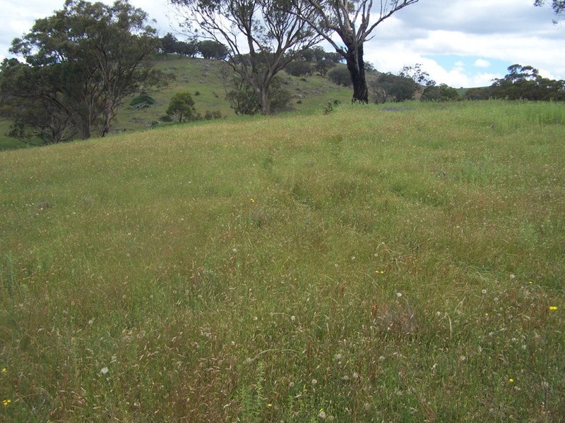 Lot 1 Peach Gardens Road, Bigga NSW 2583