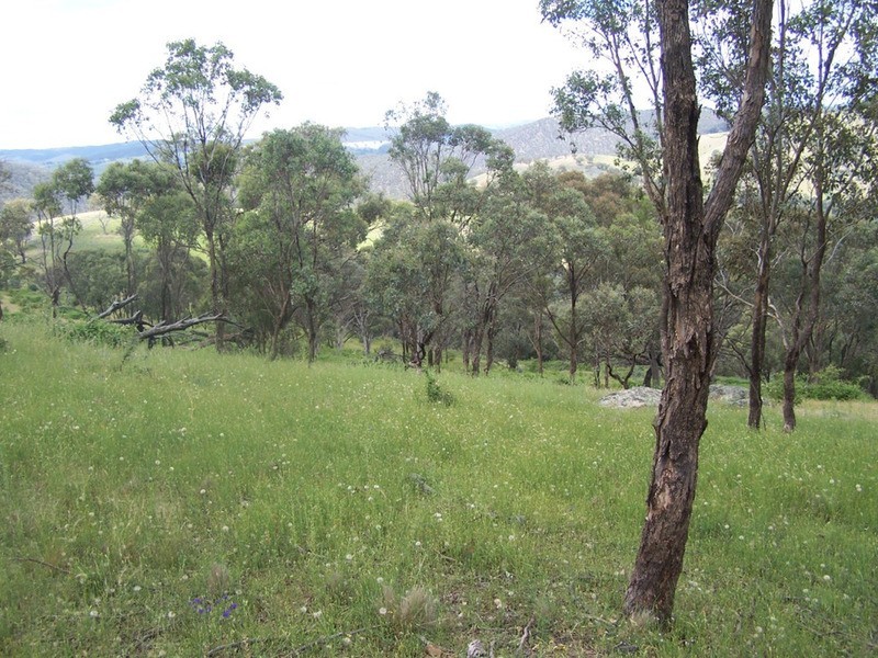 Lot 1 Peach Gardens Road, Bigga NSW 2583