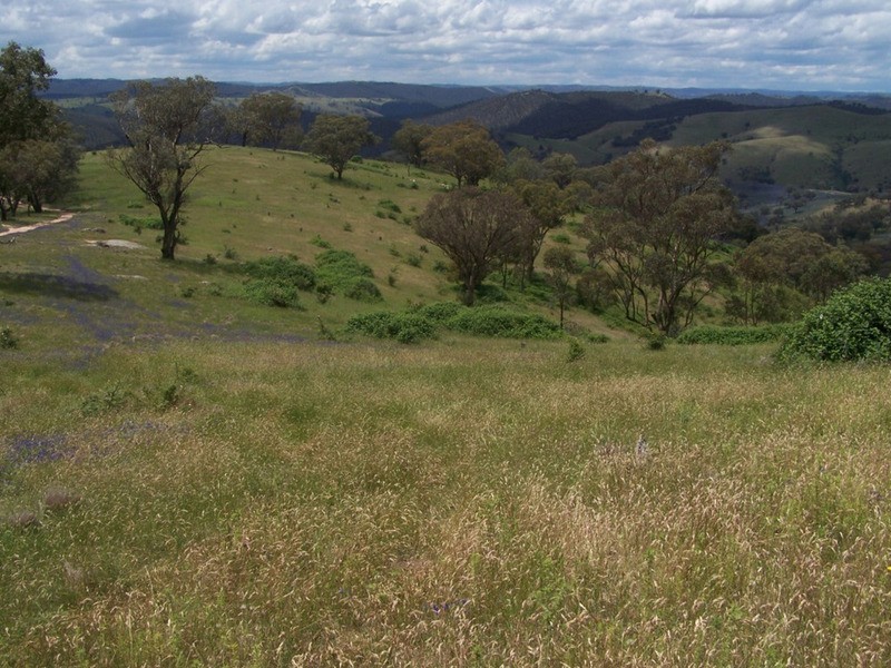 Lot 1 Peach Gardens Road, Bigga NSW 2583