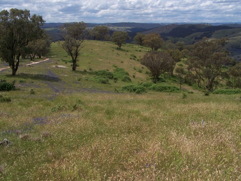 Lot 1 Peach Gardens Road, Bigga NSW 2583