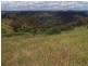 Lot 1 Peach Gardens Road, Bigga NSW 2583