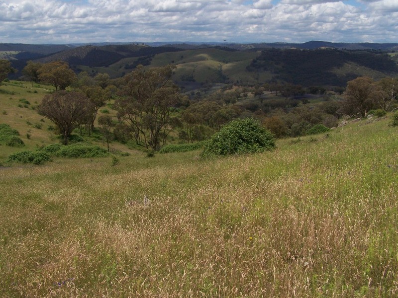 Lot 1 Peach Gardens Road, Bigga NSW 2583