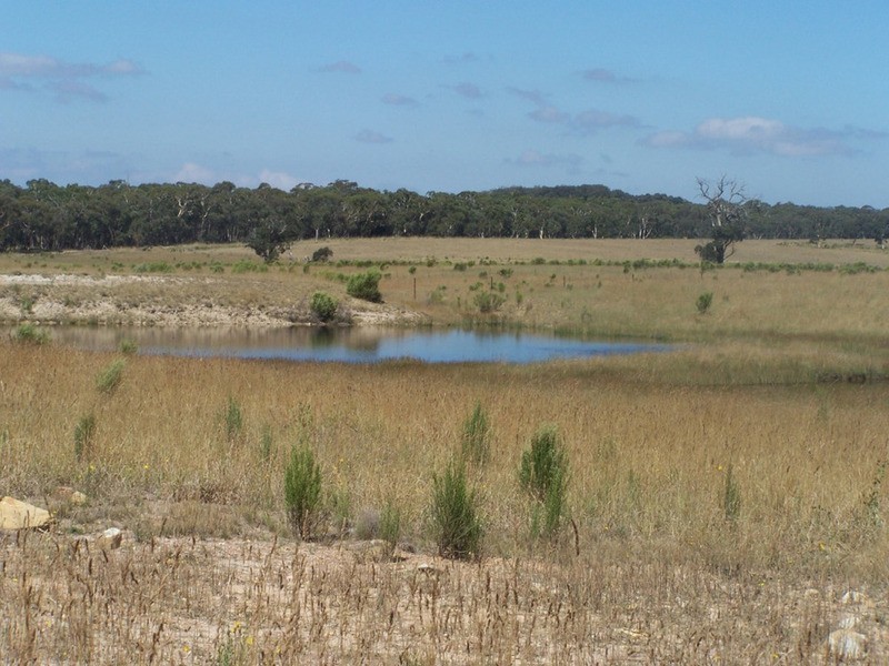 Lot 5 Off Trappers Way, Woodhouselee NSW 2580