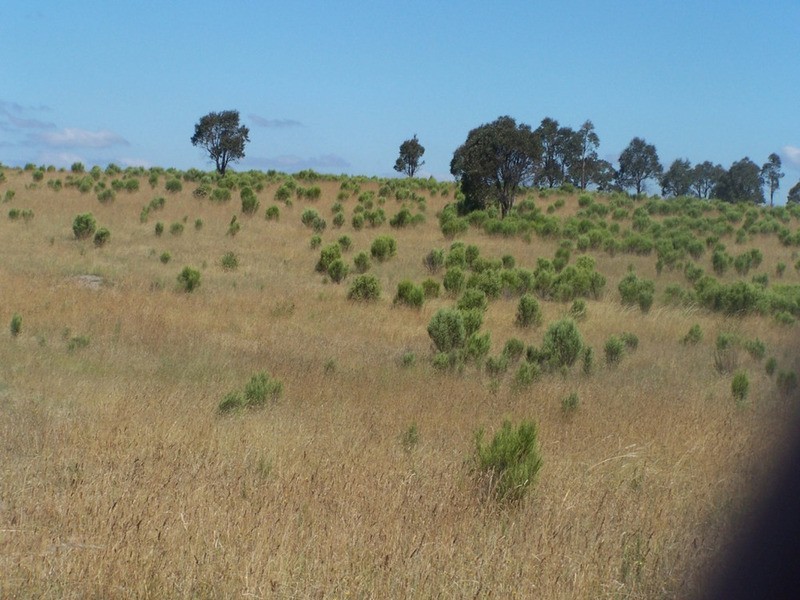 Lot 5 Off Trappers Way, Woodhouselee NSW 2580