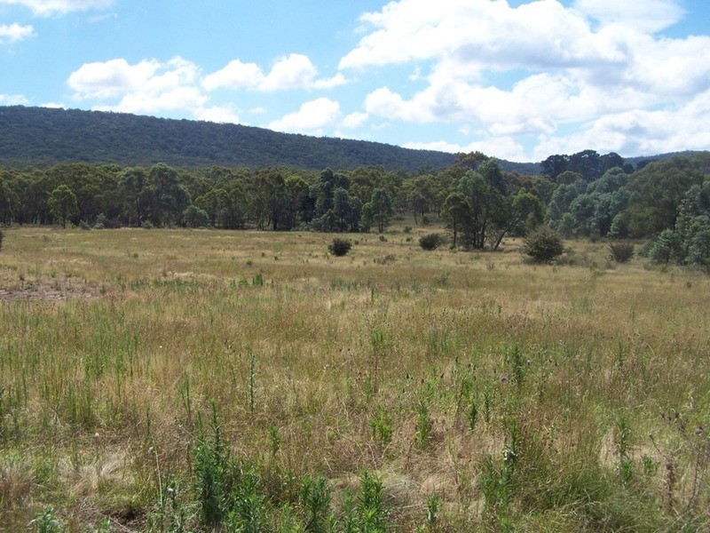 309 Towrang Road, Towrang NSW 2580