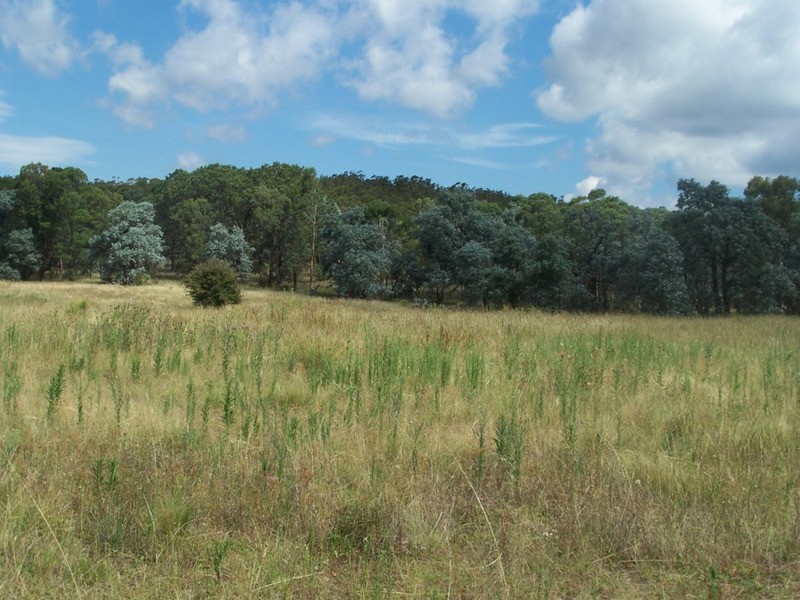 309 Towrang Road, Towrang NSW 2580