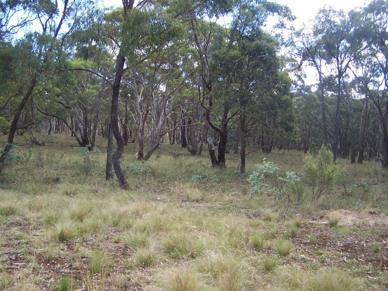309 Towrang Road, Towrang NSW 2580