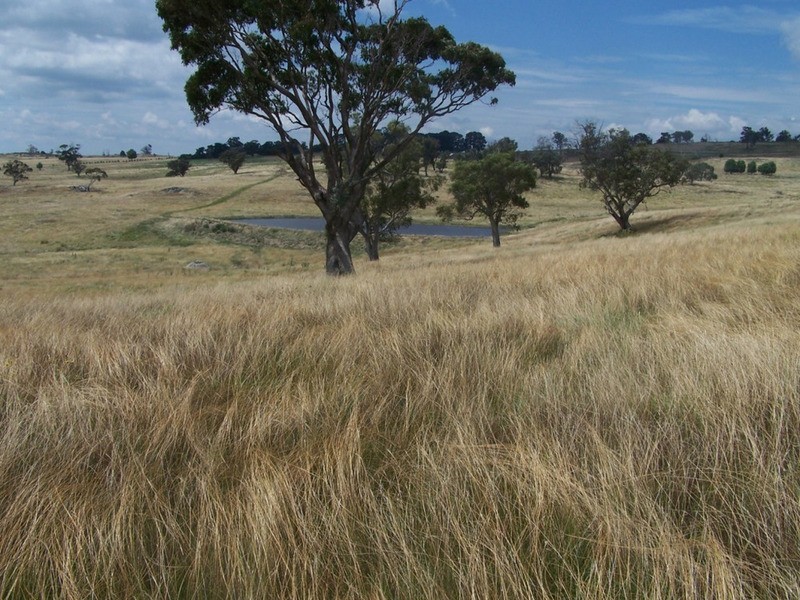 “WYTALIBA NORTH” Taralga Road, Laggan NSW 2583