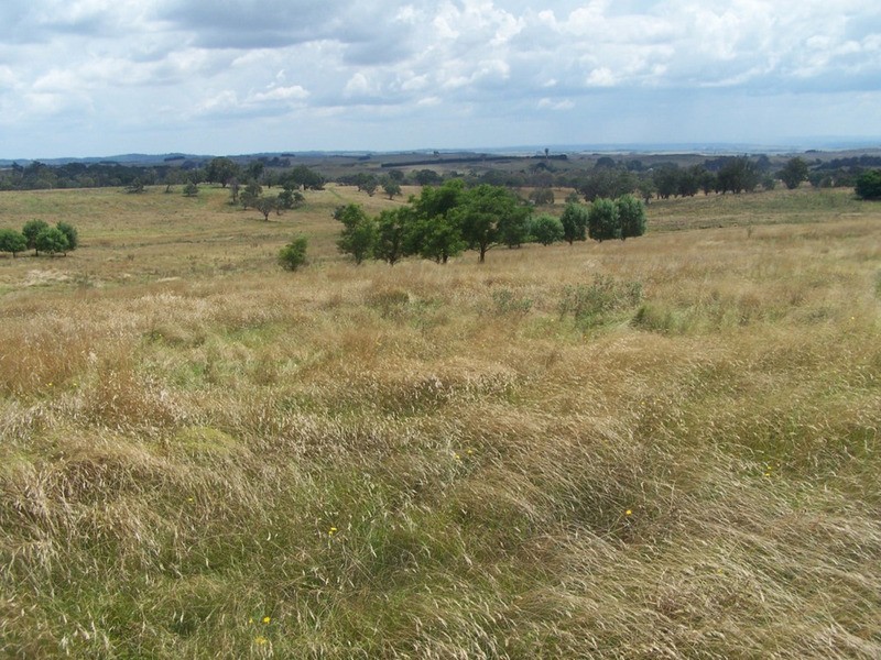 “WYTALIBA NORTH” Taralga Road, Laggan NSW 2583