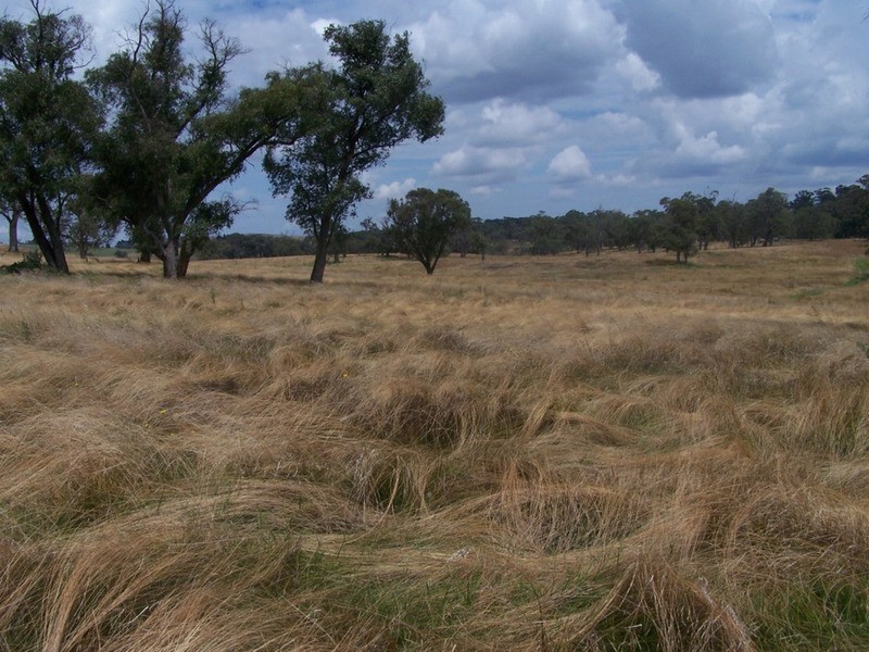 “WYTALIBA NORTH” Taralga Road, Laggan NSW 2583