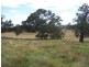 “WYTALIBA NORTH” Taralga Road, Laggan NSW 2583