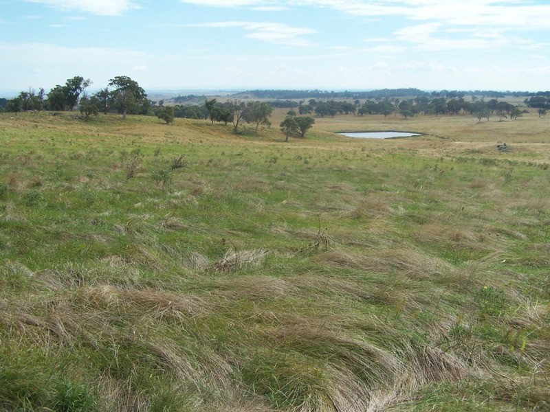 “WYTALIBA NORTH” Taralga Road, Laggan NSW 2583