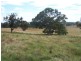 “WYTALIBA NORTH” Taralga Road, Laggan NSW 2583