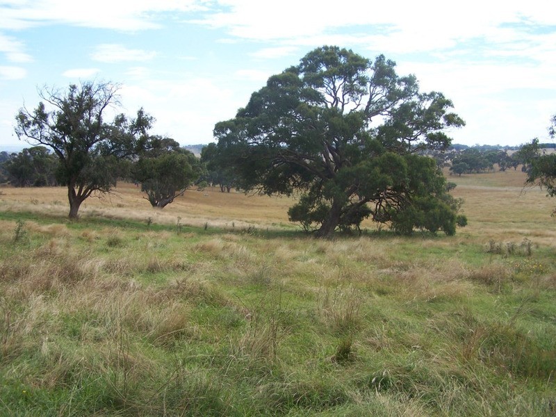 “WYTALIBA NORTH” Taralga Road, Laggan NSW 2583