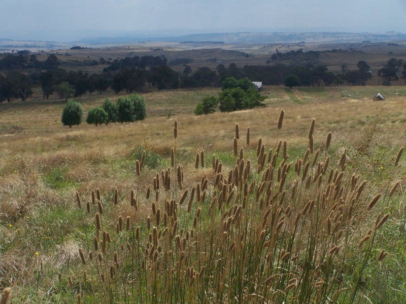 “WYTALIBA NORTH” Taralga Road, Laggan NSW 2583