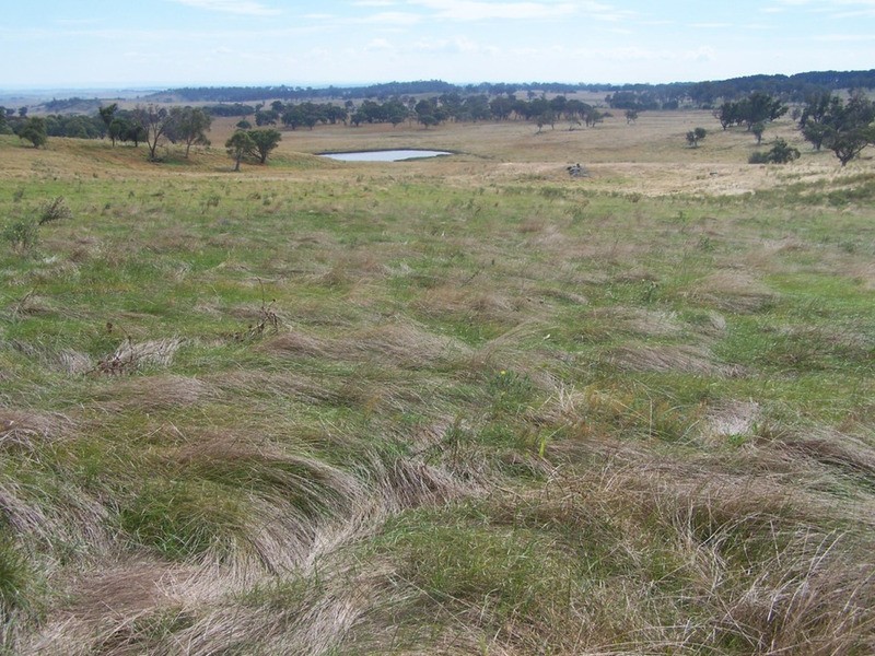 “WYTALIBA NORTH” Taralga Road, Laggan NSW 2583