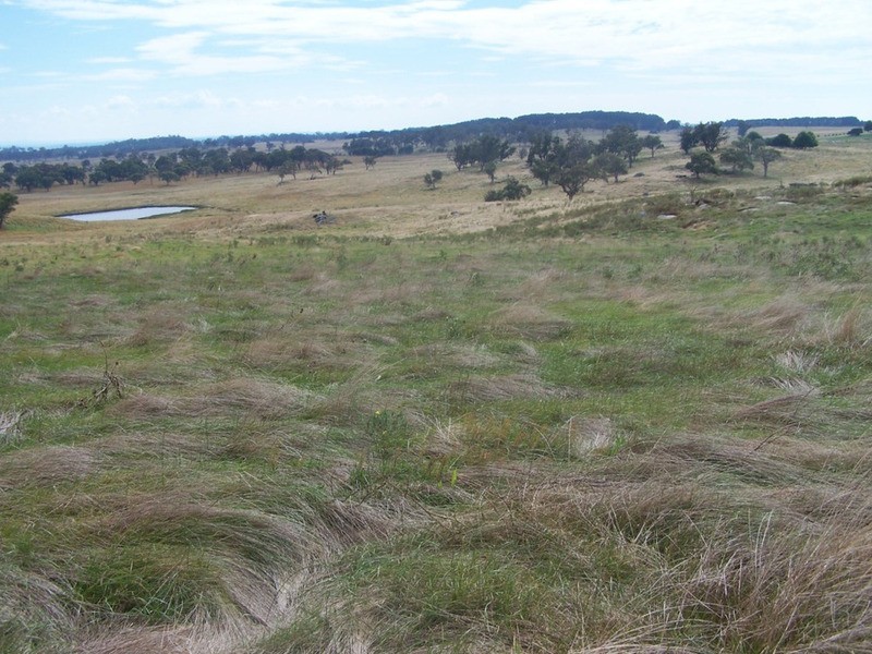 “WYTALIBA NORTH” Taralga Road, Laggan NSW 2583