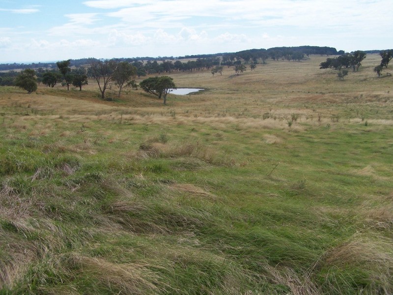 “WYTALIBA NORTH” Taralga Road, Laggan NSW 2583