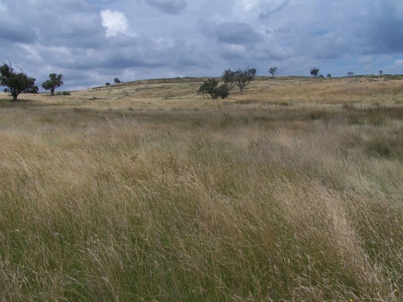 “WYTALIBA NORTH” Taralga Road, Laggan NSW 2583
